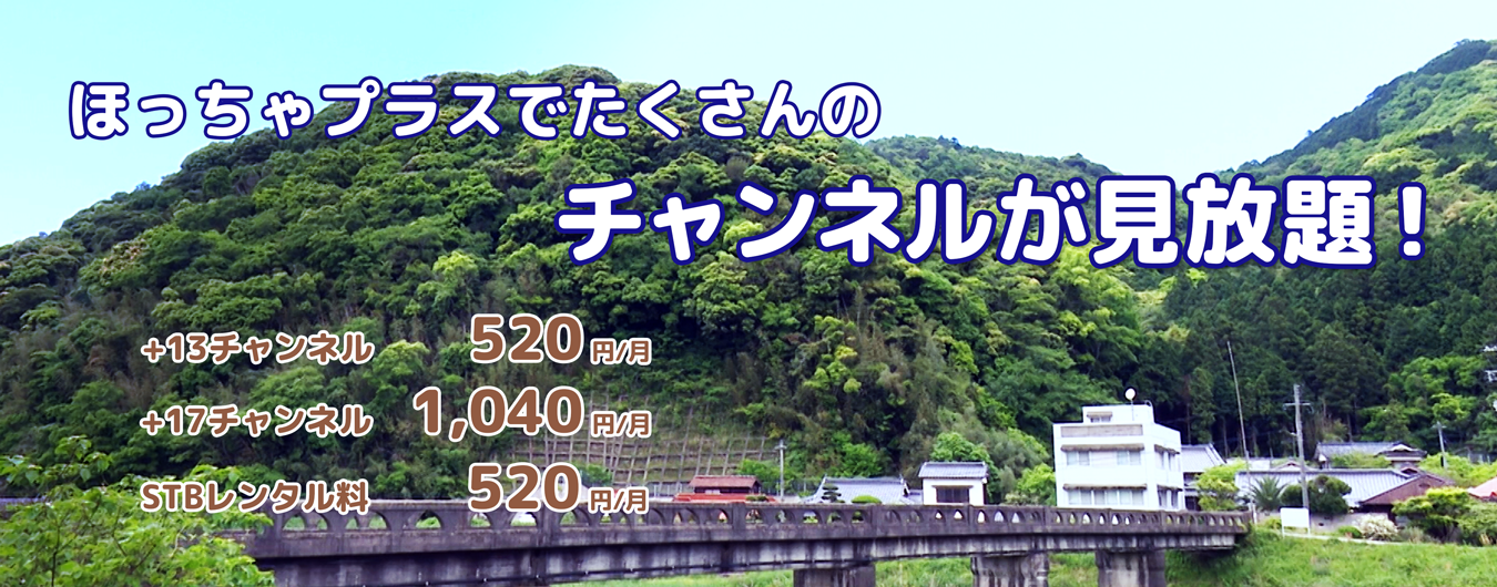 ほっちゃプラスでたくさんのチャンネルが見放題!