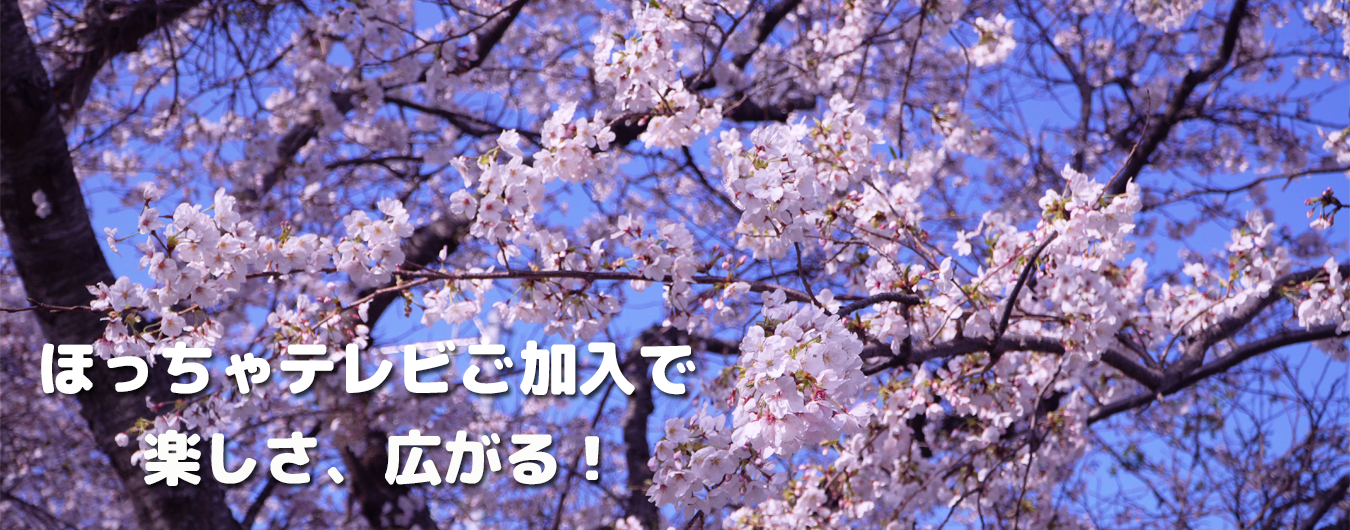 ほっちゃテレビご加入で楽しさ、ひろがる!